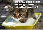 Condolence image of Von Gatita an Minki und Frauchen Andrea
