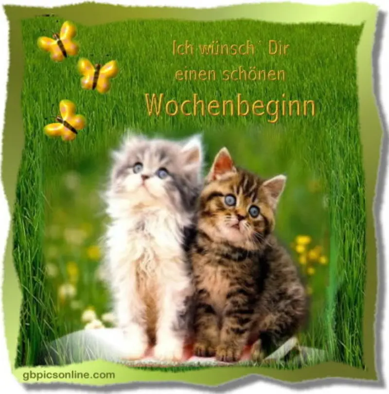 Condolence image of Tanja mit Timmy im Herzen