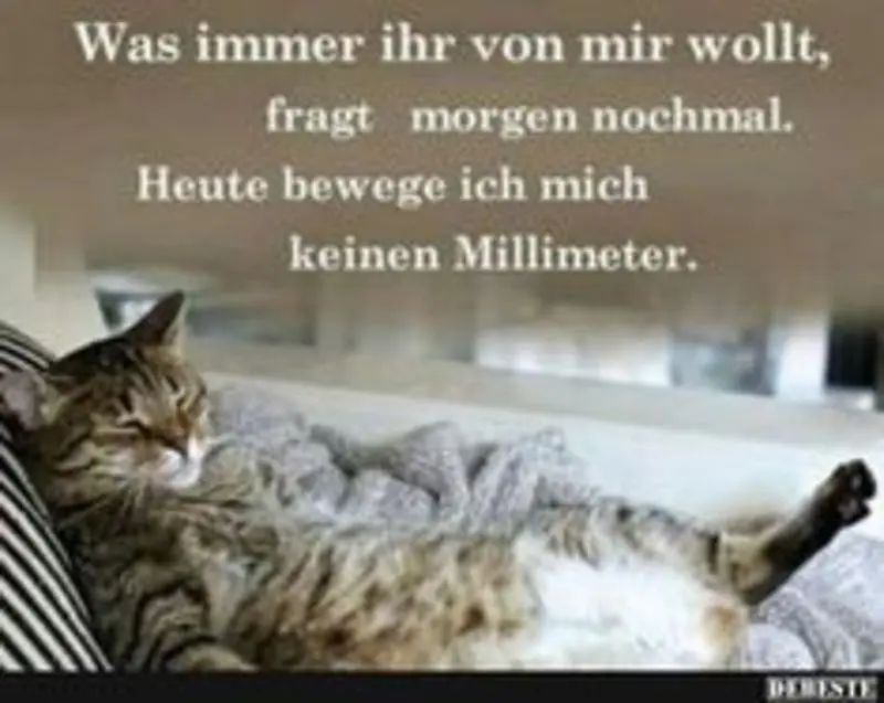 Condolence image of Post von Timmy und Gatita an Minki