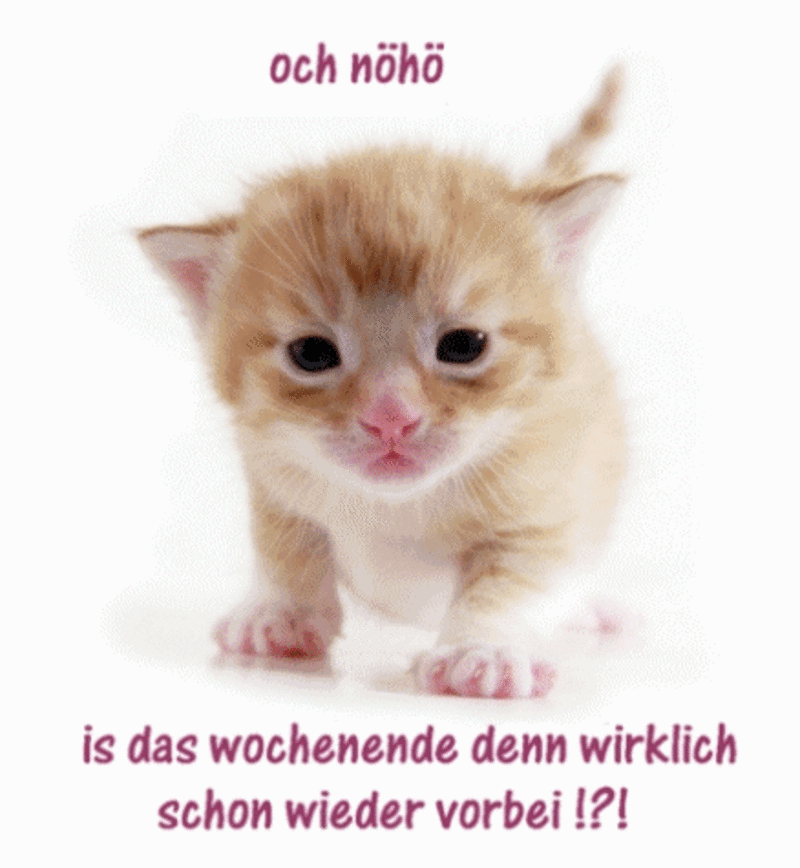 Condolence image of Sternchenpost ⭐