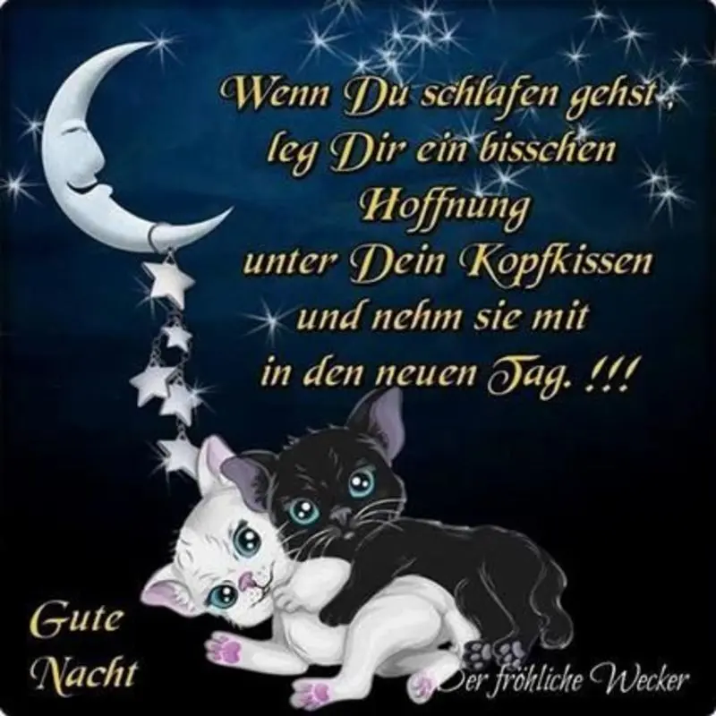 Condolence image of Von Sisi und Lissy für Minki♥️