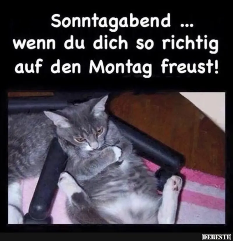 Condolence image of Post von Timmy und Tanja an Minki und Andrea