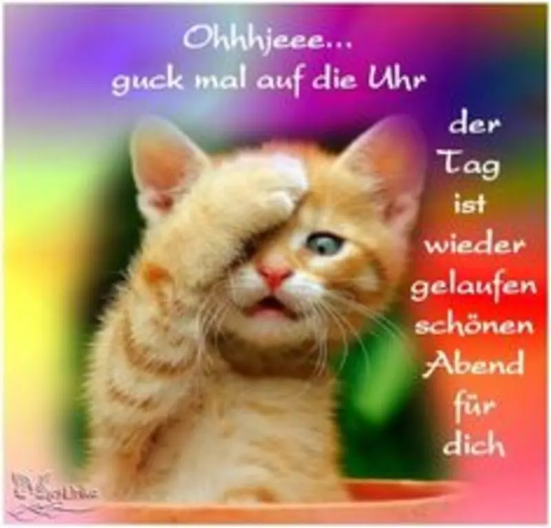 Condolence image of Tanja mit Timmy im Herzen