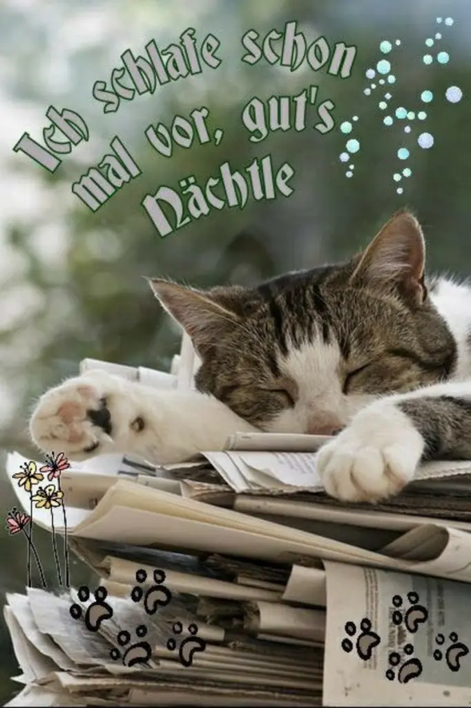 Condolence image of Für Minki und Mama Andrea ❤️