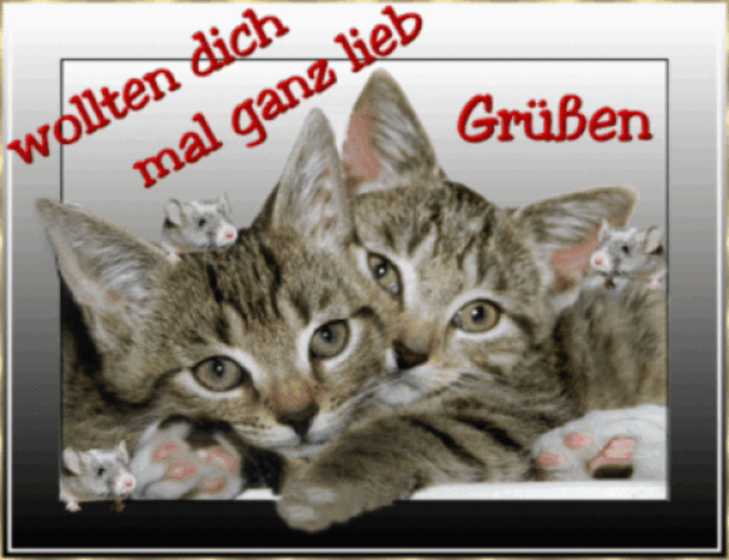 Condolence image of Tanja mit Timmy im Herzen