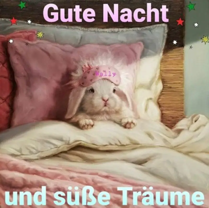 Condolence image of Gute Nacht ⭐