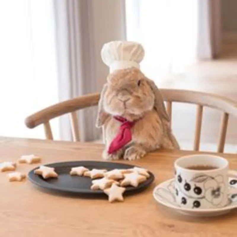 Condolence image of Post von Bunny