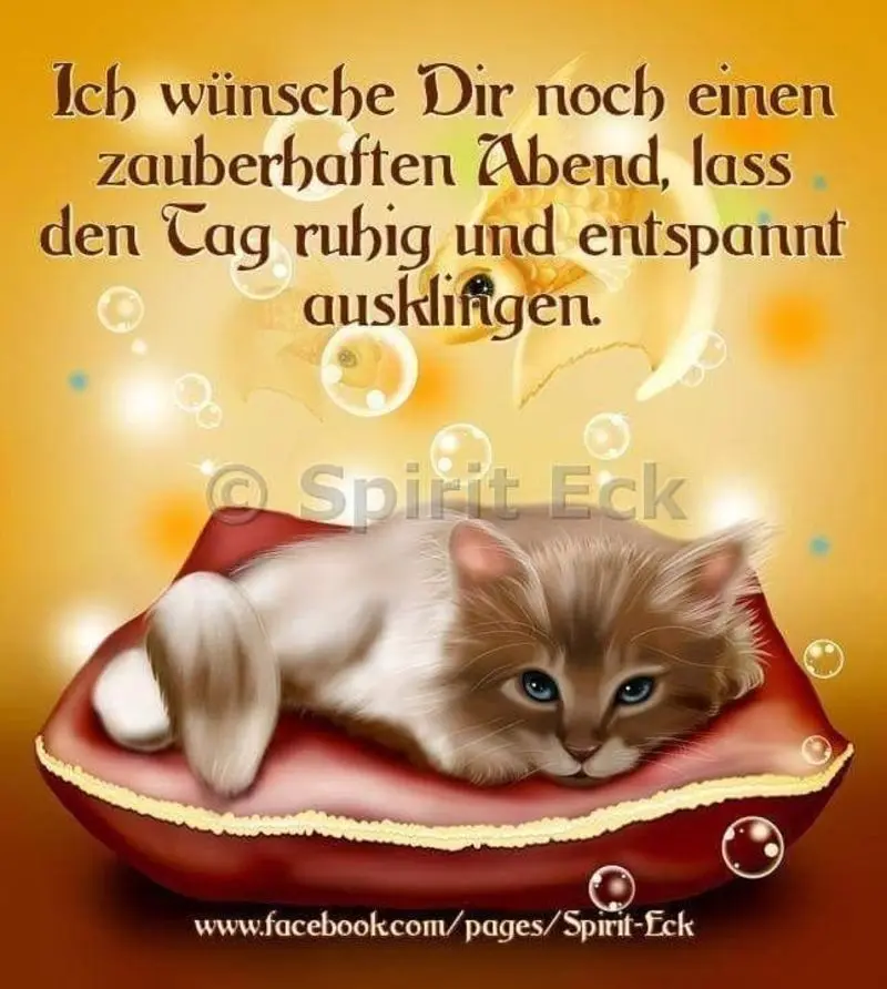 Condolence image of Tanja mit Timmy im Herzen