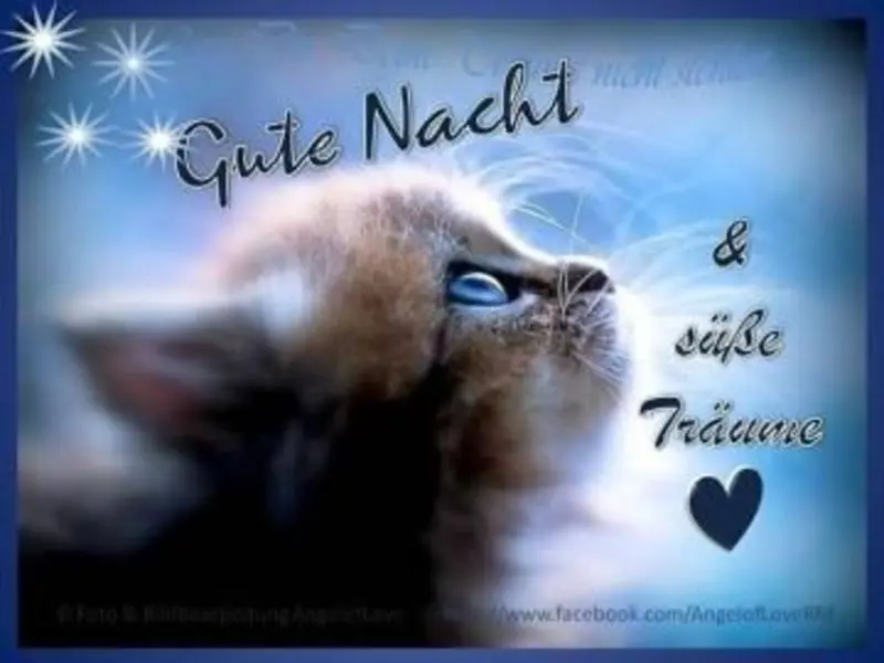 Condolence image of Für Minki und Mama Andrea ♥️