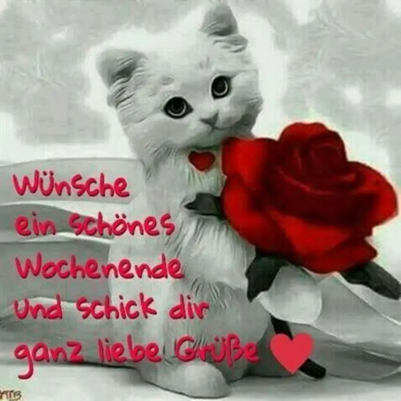 Condolence image of Für Minki und Mama Andrea ♥️