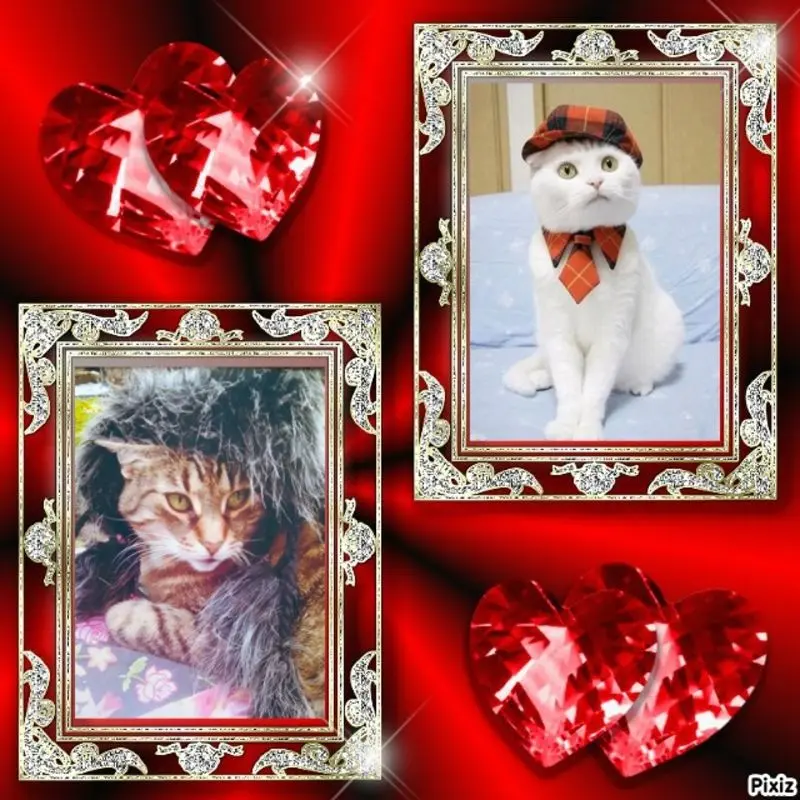 Condolence image of Für die süße Minki ❤️ und Mama Andrea ❤️