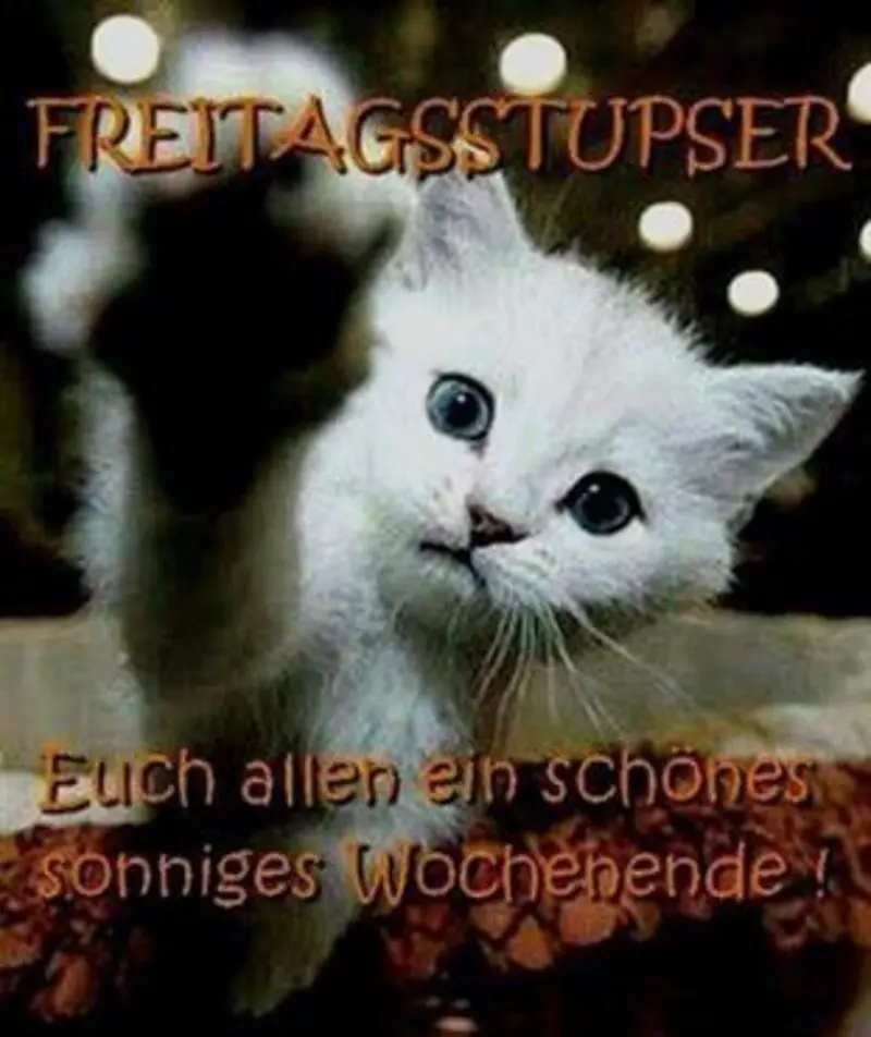 Condolence image of Für Minkimaus und Mama Andrea ♥️