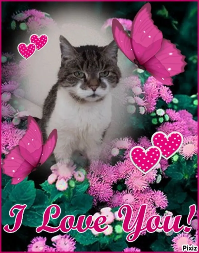 Condolence image of Post von Bunny