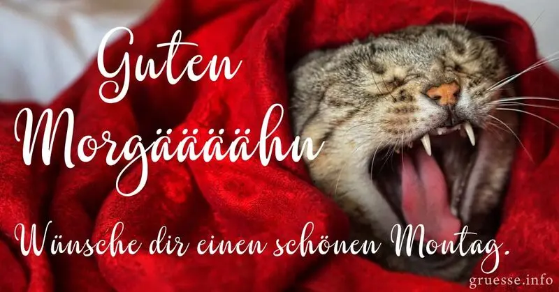 Condolence image of Tanja mit Timmy im Herzen