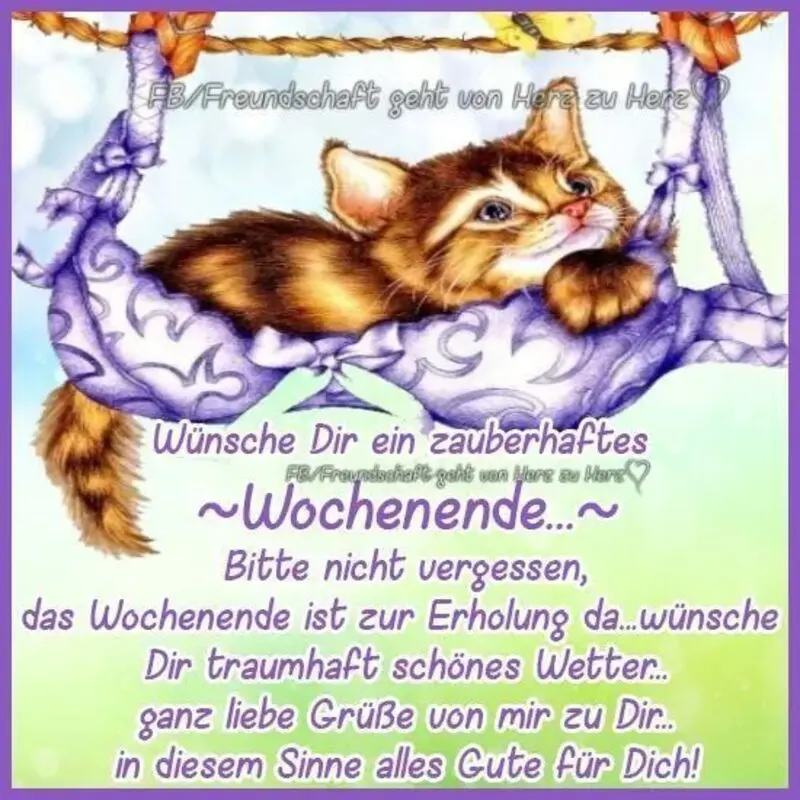 Condolence image of Für Minki und Mama Andrea ♥️