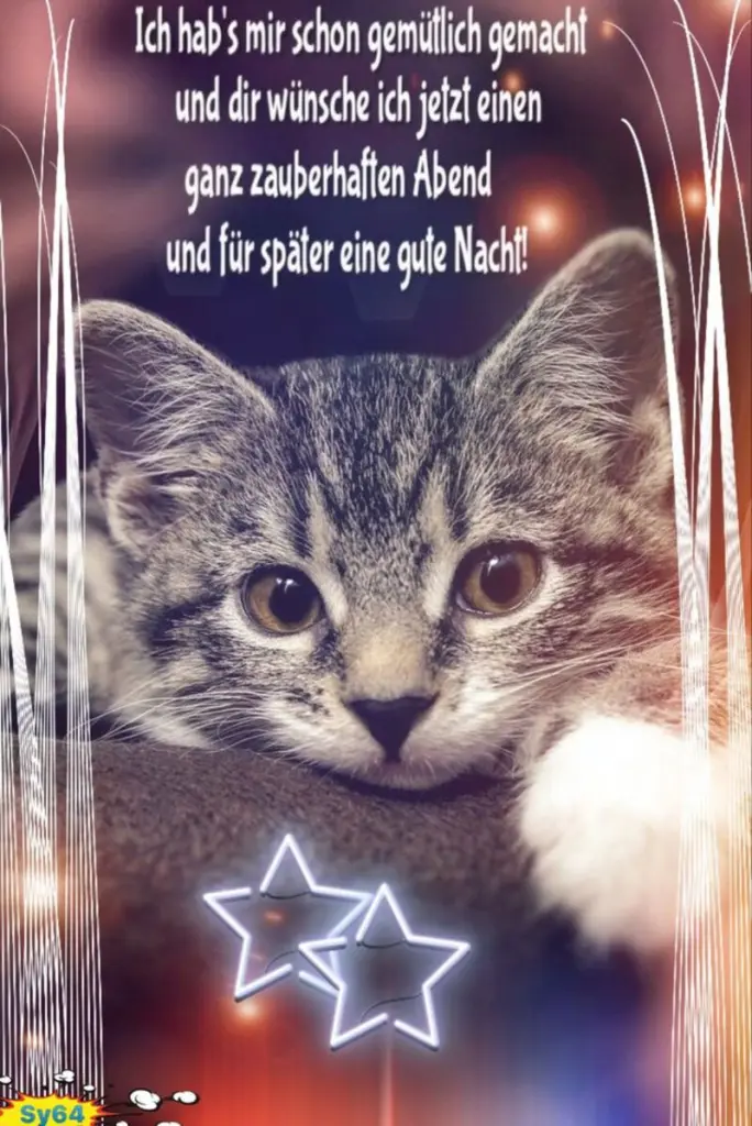 Condolence image of Für das Sternchen Minki und Mama Andrea ❤️
