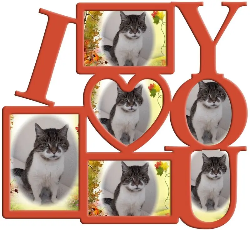 Condolence image of Fur Minkileinchen❤️