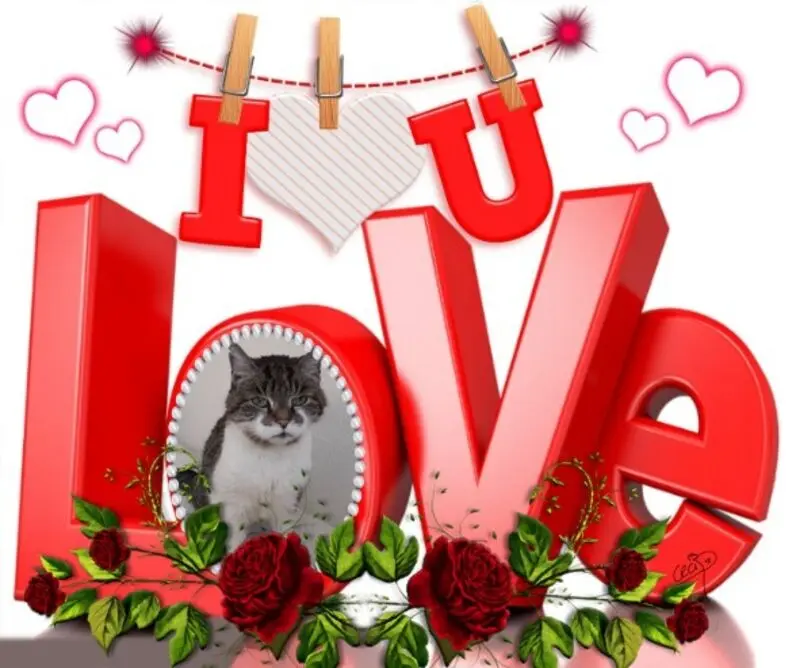 Condolence image of ❤️❤️❤️❤️❤️❤️❤️❤️❤️❤️❤️❤️❤️❤️