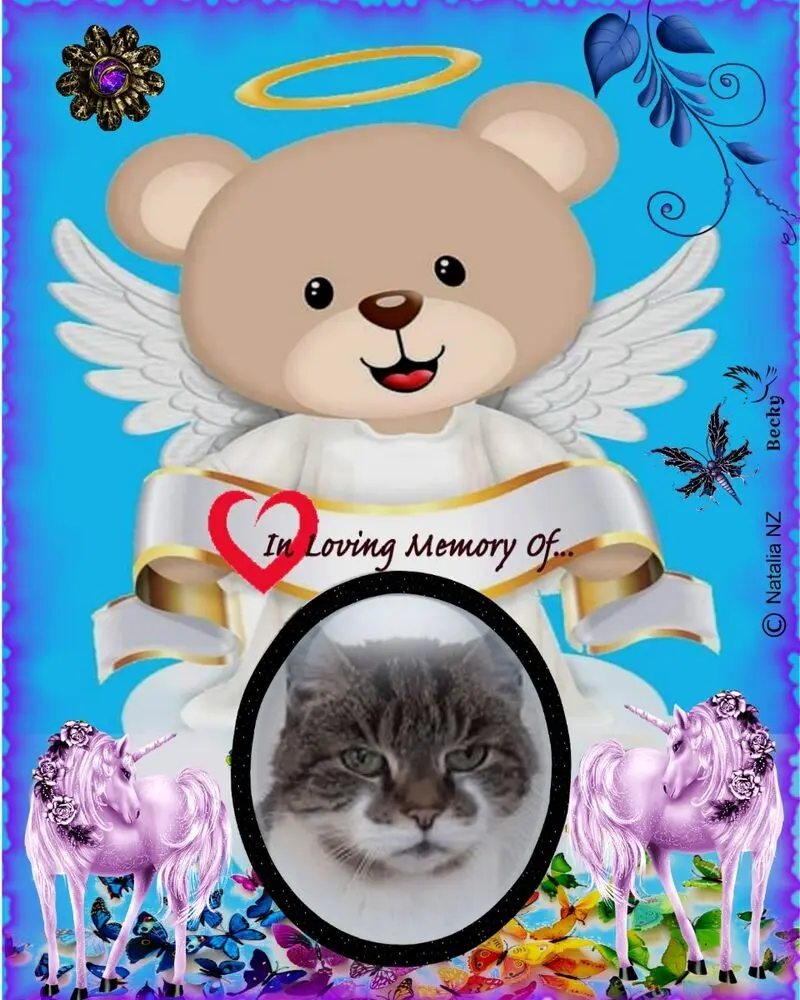 Condolence image of ❤️❤️❤️❤️❤️❤️❤️❤️❤️❤️❤️❤️❤️❤️