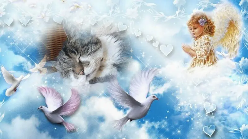 Condolence image of ❤️❤️❤️❤️❤️❤️❤️❤️❤️❤️❤️❤️❤️❤️