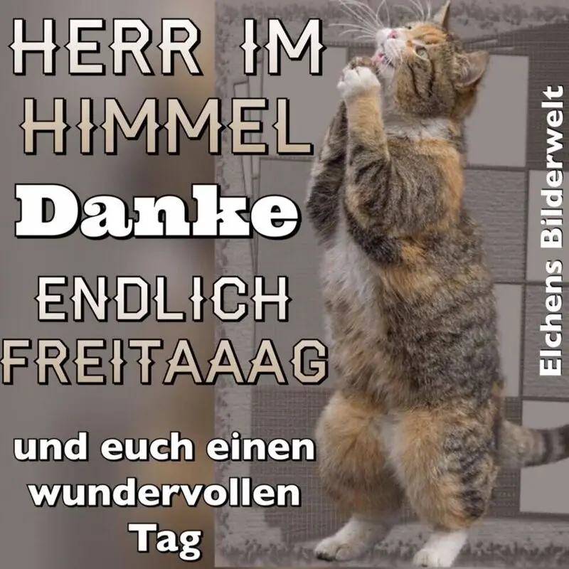 Condolence image of Tanja mit Timmy im Herzen