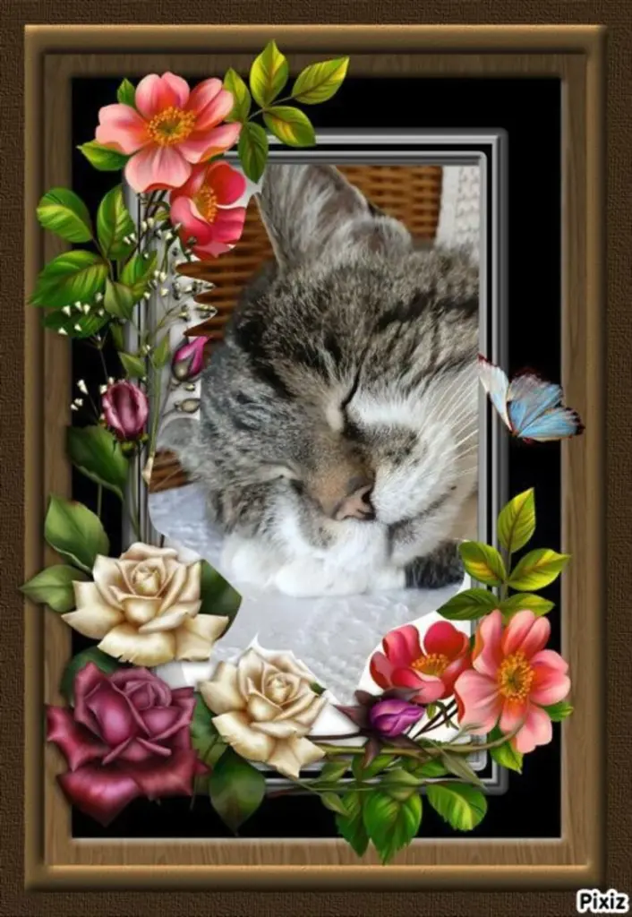 Condolence image of Tanja mit Timmy im Herzen