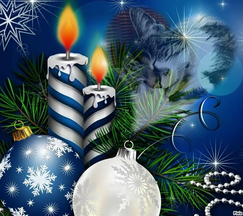 Condolence image of Tanja mit Timmy im Herzen