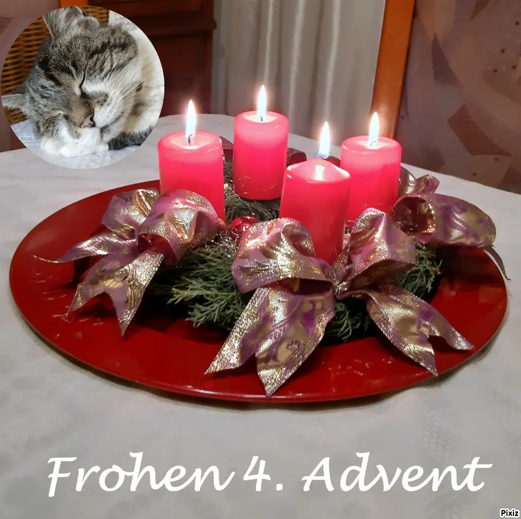 Condolence image of Tanja mit Timmy im Herzen