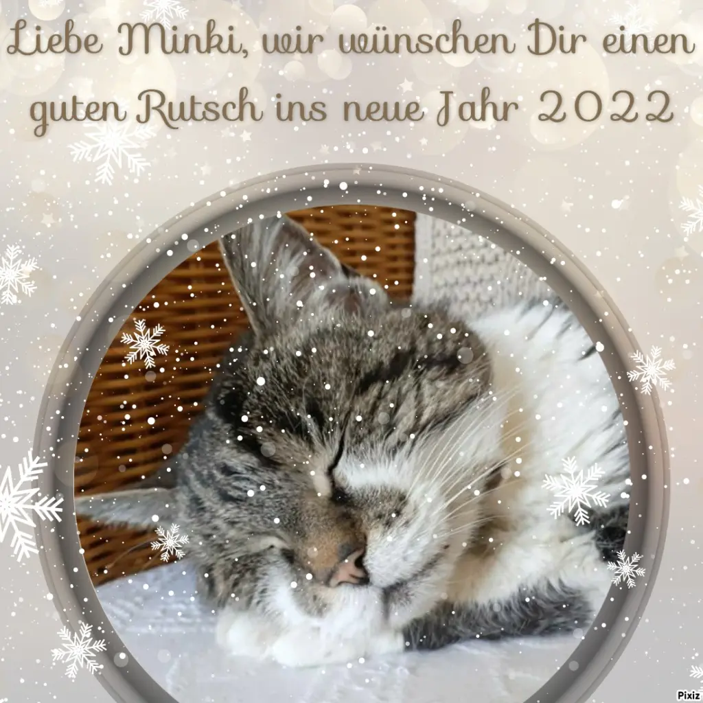 Condolence image of Tanja mit Timmy im Herzen