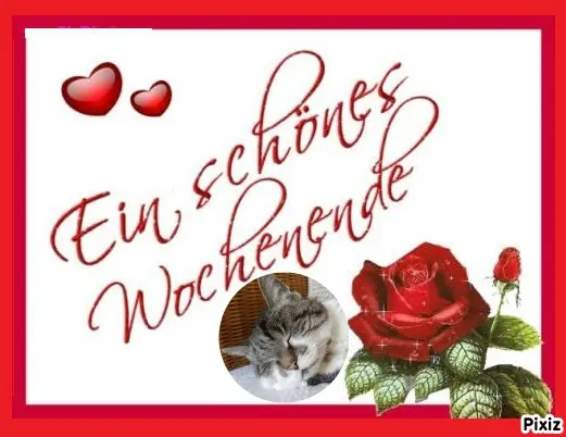 Condolence image of Tanja mit Timmy im Herzen