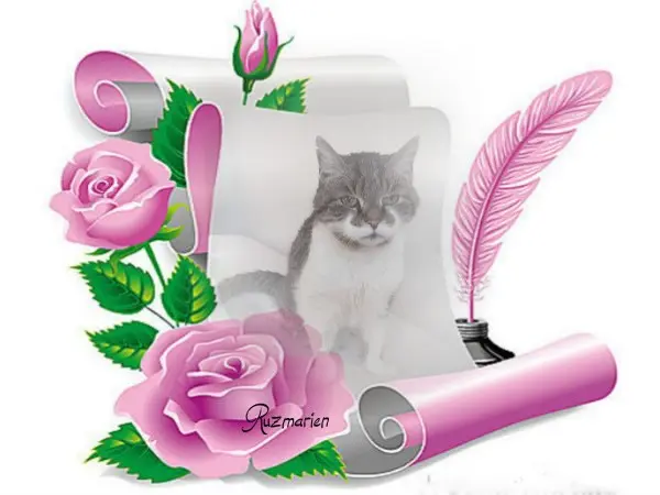 Condolence image of Sternchenpost ⭐