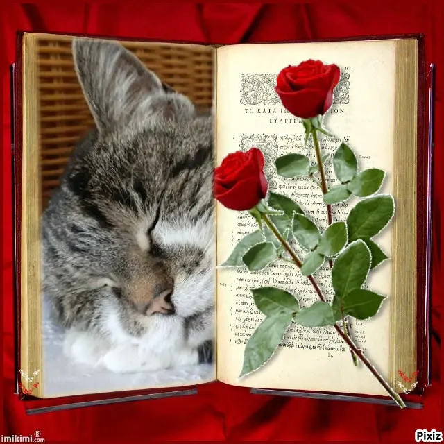 Condolence image of Tanja mit Timmy im Herzen