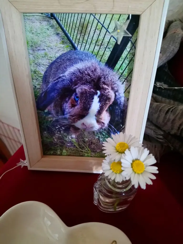 Condolence image of Liebe Grüße
