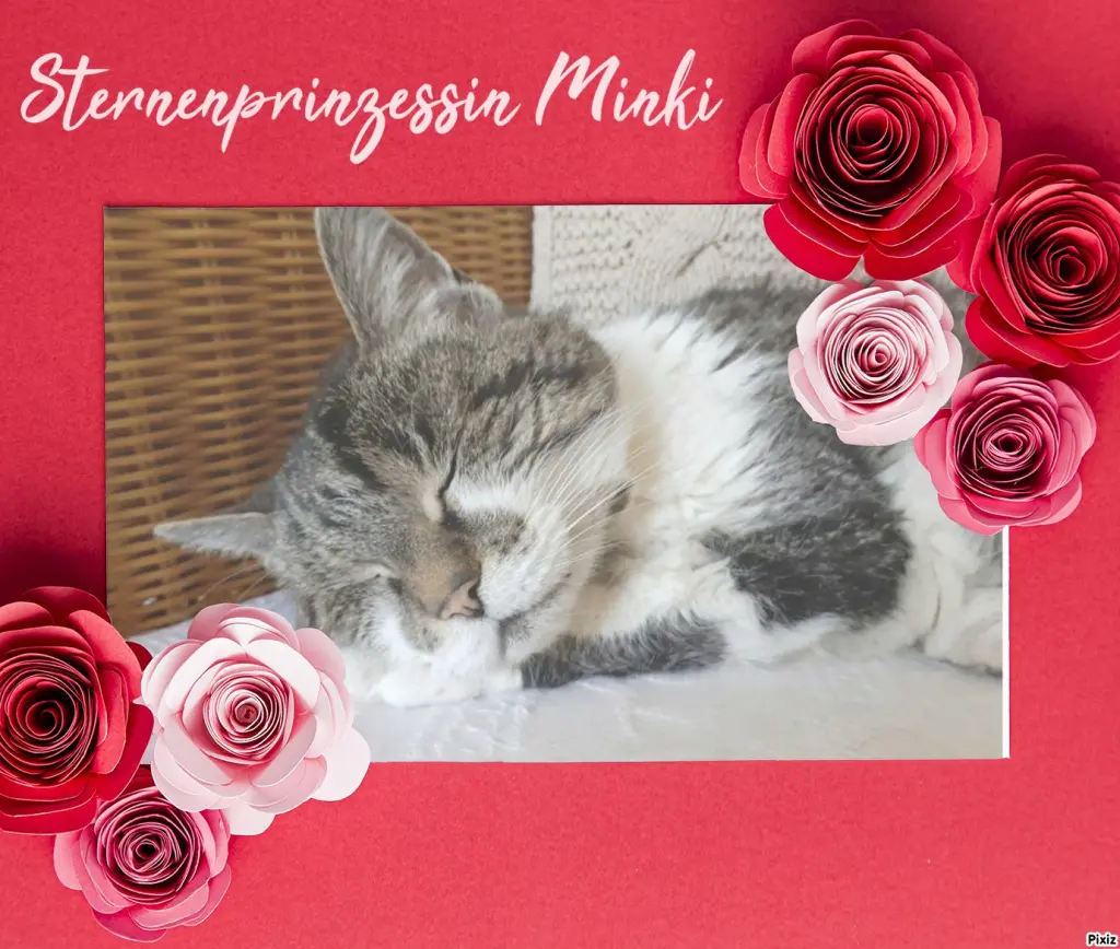 Condolence image of Tanja mit Timmy im Herzen