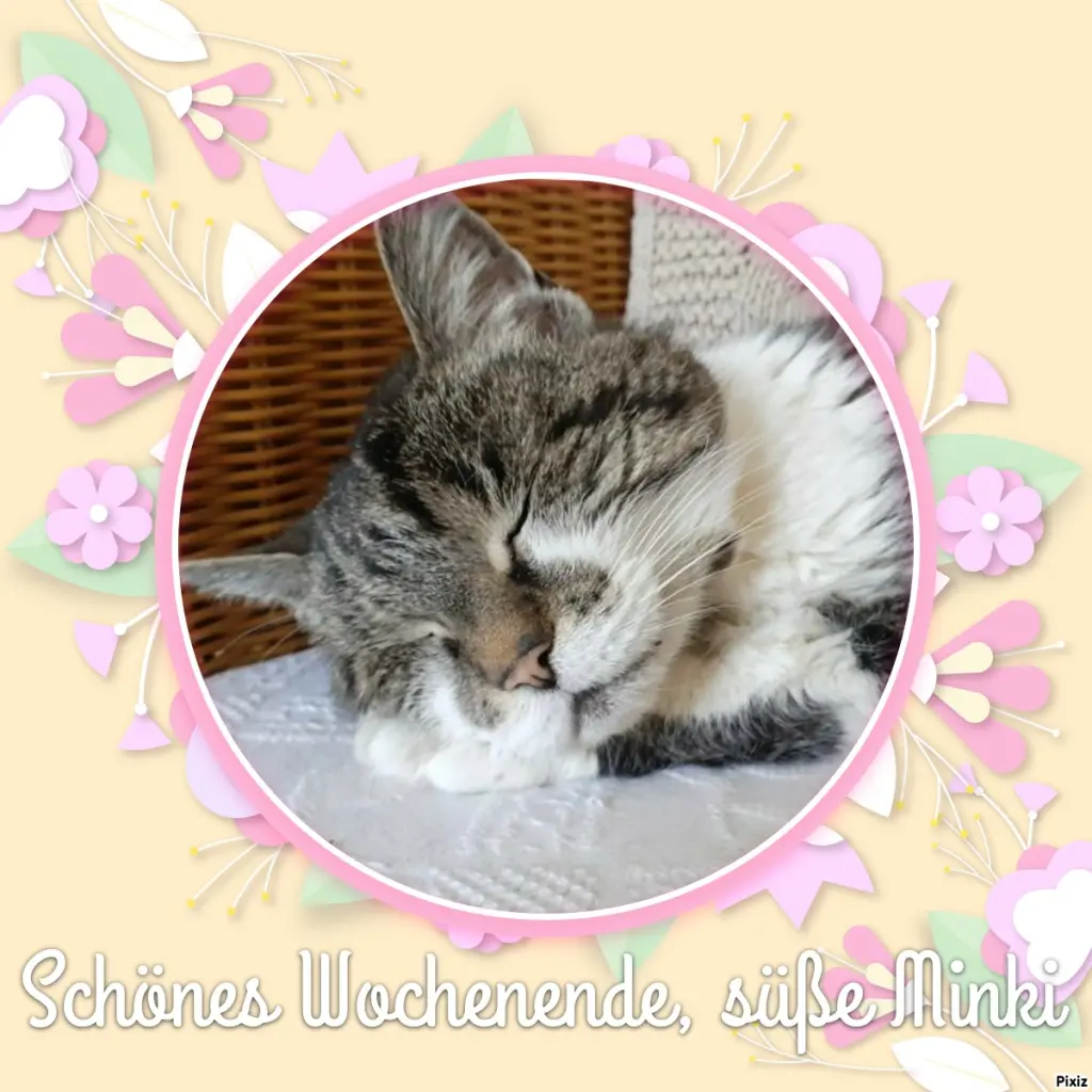 Condolence image of Tanja mit Timmy im Herzen