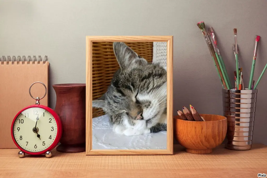 Condolence image of Tanja mit Timmy im Herzen