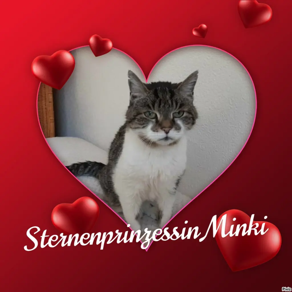 Condolence image of Tanja mit Timmy im Herzen
