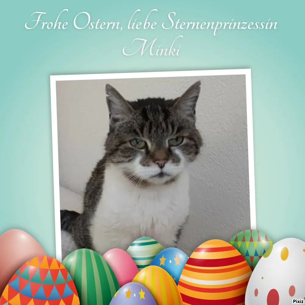 Condolence image of Tanja mit Timmy im Herzen