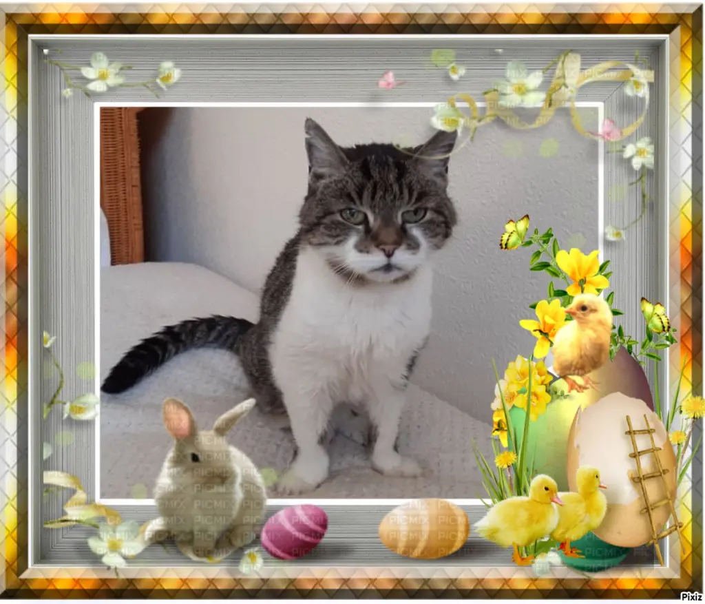 Condolence image of Patricia mit Bunny ❤