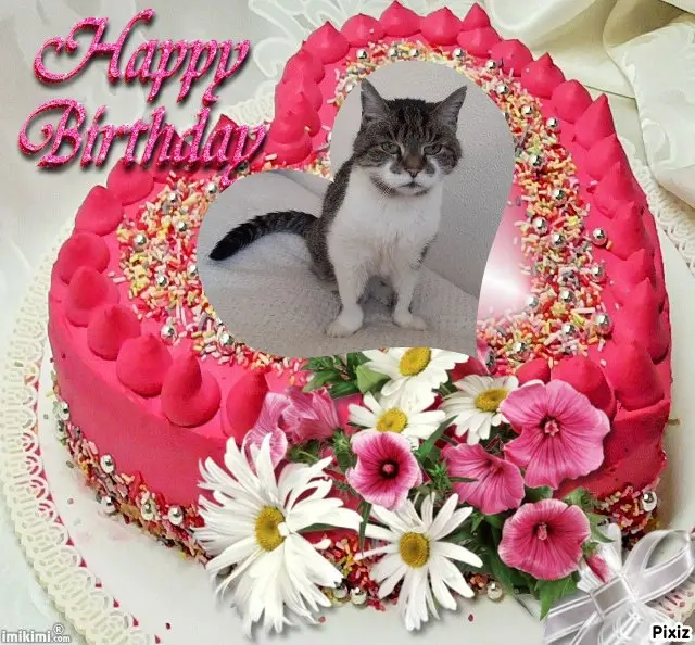 Condolence image of Happy Birthday ❤