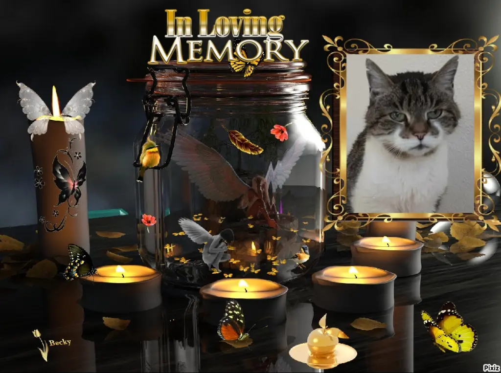 Condolence image of Tanja mit Timmy im Herzen