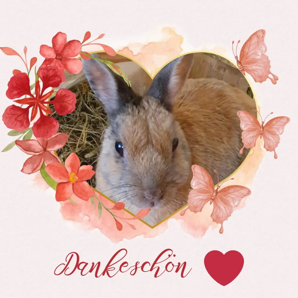 Condolence image of Danke ❤