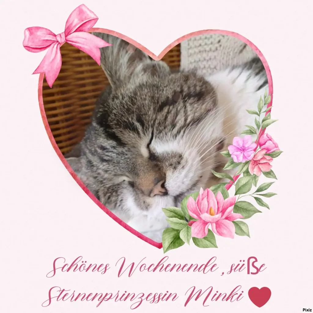 Condolence image of Tanja mit Timmy im Herzen
