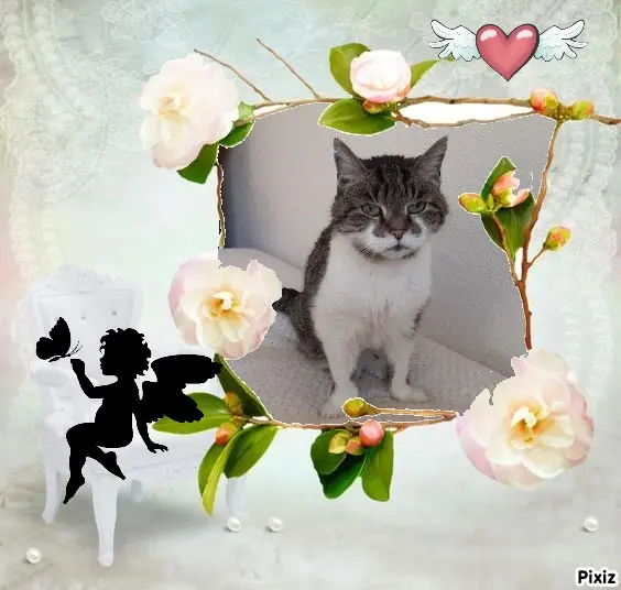 Condolence image of Patricia mit Bunny ❤