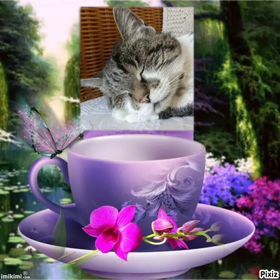 Condolence image of Tanja mit Timmy im Herzen