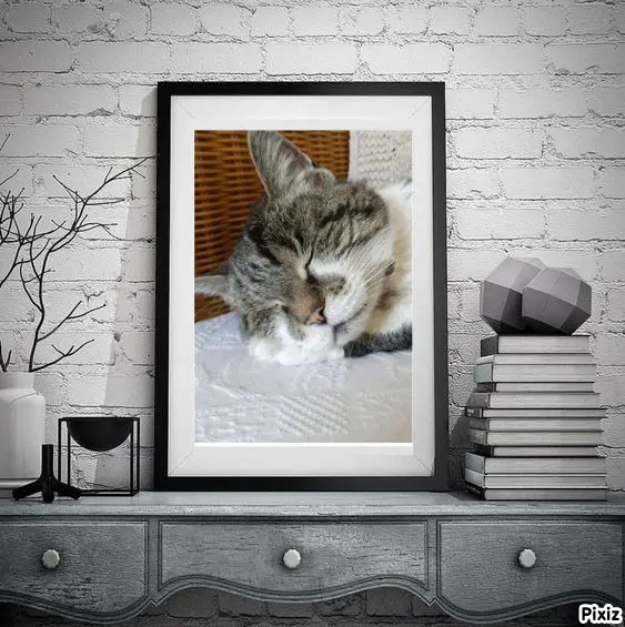 Condolence image of Tanja mit Timmy im Herzen