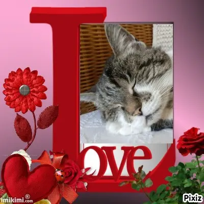 Condolence image of Tanja mit Timmy im Herzen
