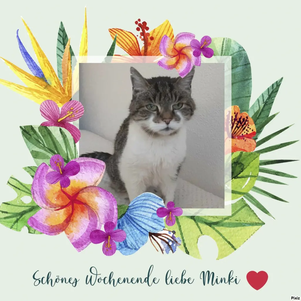 Condolence image of Tanja mit Timmy im Herzen