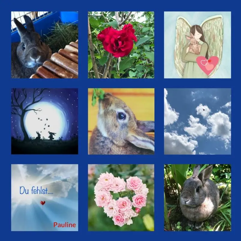Condolence image of Danke von Pauline und Drina
