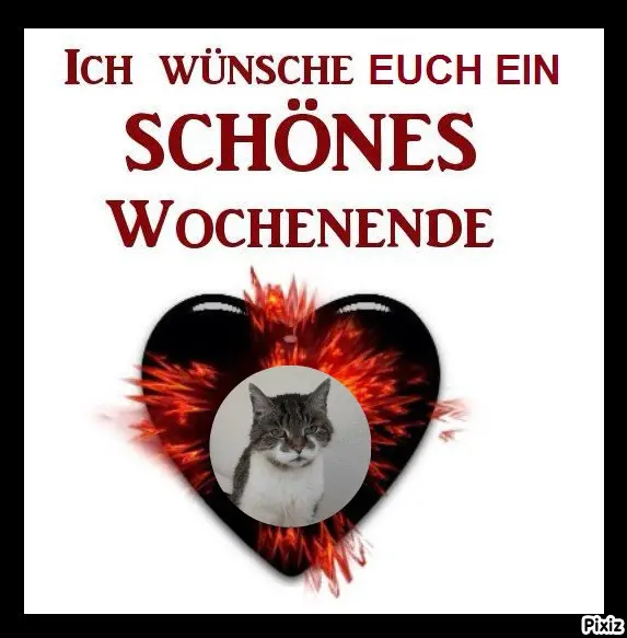 Condolence image of Tanja mit Timmy im Herzen